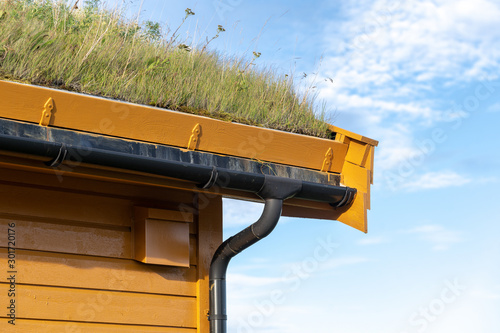 Fotografija Modern wooden house with green moss on rooftop
