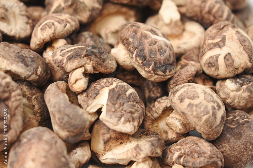 Dried shiitake mushroom Dried shiitake mushroom