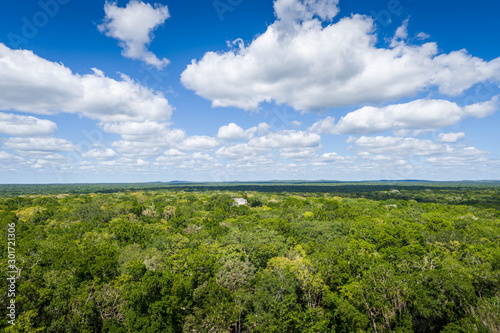 The ruins of the ancient Mayan city of calakmul, campeche, Mexico