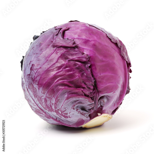 Vászonkép Fresh red cabbage on a white background