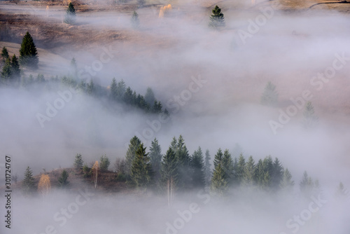 Beautiful morning landscape with trees in the fog. Autumn Landscape . © krstrbrt