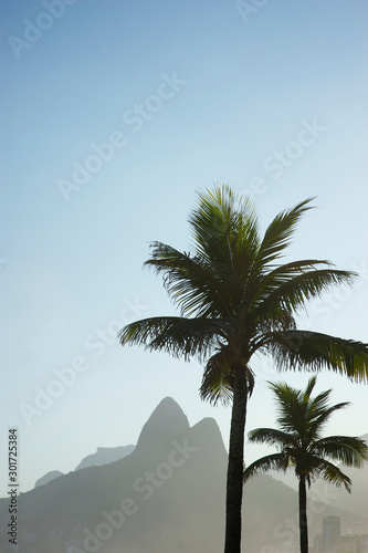 Scenic afternoon view of the dramatic skyline of Rio de Janeiro, Brazil with Two Brothers Mountain standing behind palm trees on Ipanema Beach