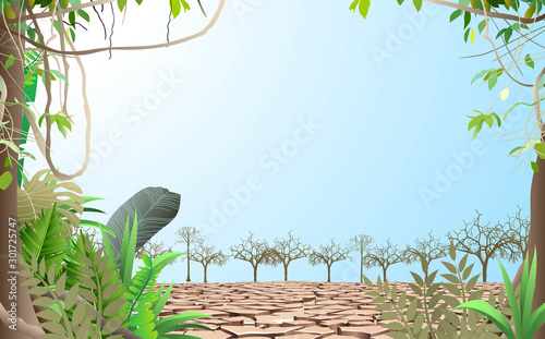 landscape of trees on the dry soil 