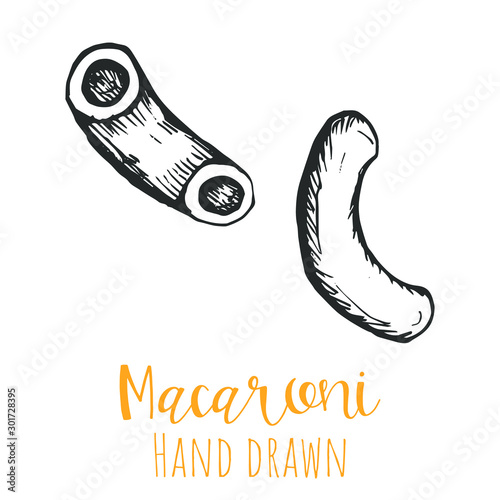 Macaroni type pasta hand drawn vector illustration, isolated sketched pasta shape.