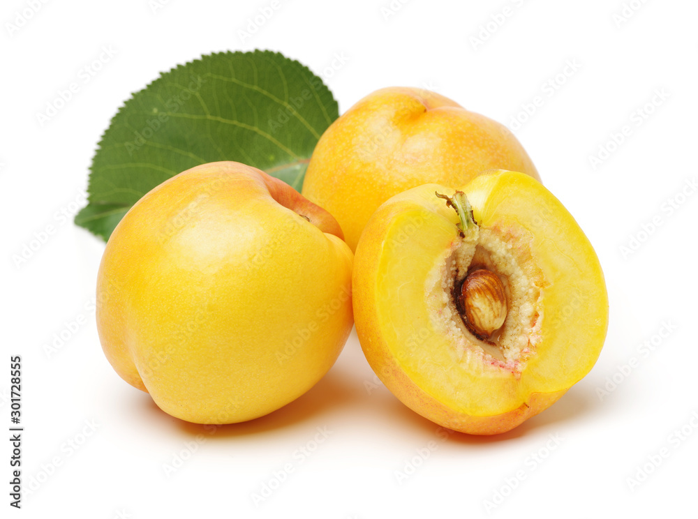 Nectarine fruit on white background Nectarine fruit on white background