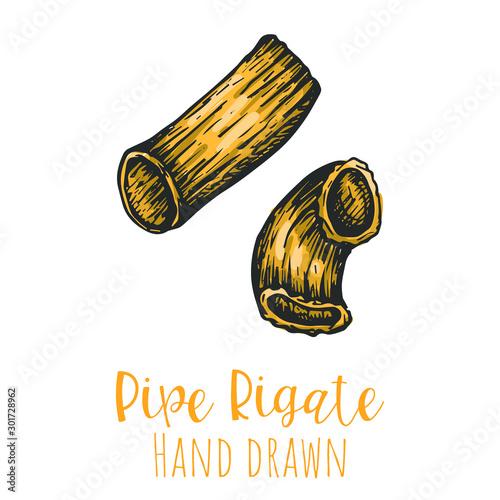 Pipe rigate type pasta hand drawn vector illustration, isolated sketched pasta shape.