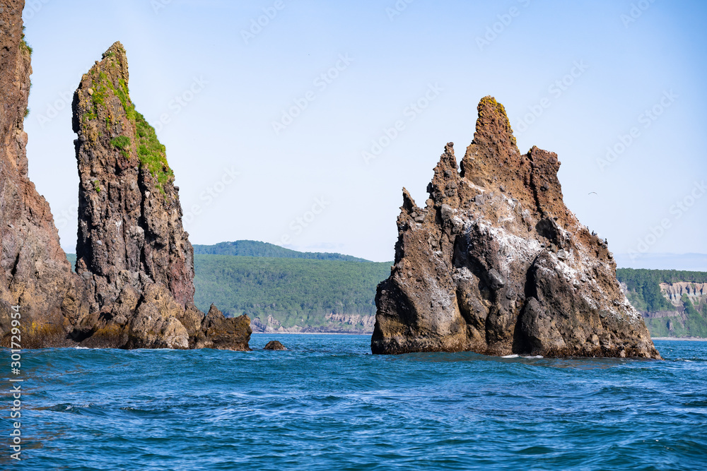 Stone cliffs of the island in the Pacific Ocean. Wildlife of Kamchatka. Far East, Russia Stone cliffs of the island in the Pacific Ocean. Wildlife of Kamchatka. Far East, Russia