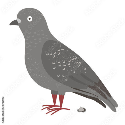 Vector illustration of funny pigeon with poo. City bird picture isolated on white background. Flat cute character clip art..