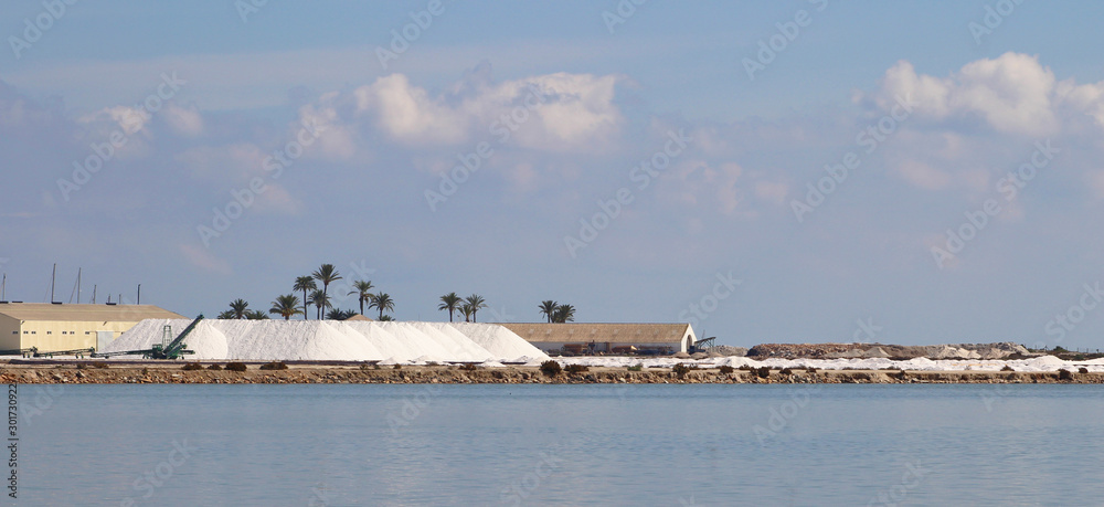 Salinas de San Pedro del Pinatar, Murcia, España