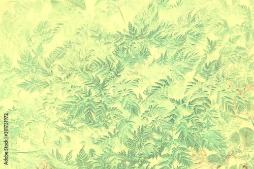 green vintage background leaves grass   abstract unusual background vintage look