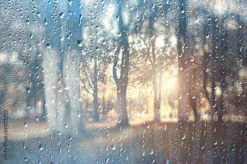 spring day in the park / view of the spring landscape in the park through the window, raindrops on the glass © kichigin19