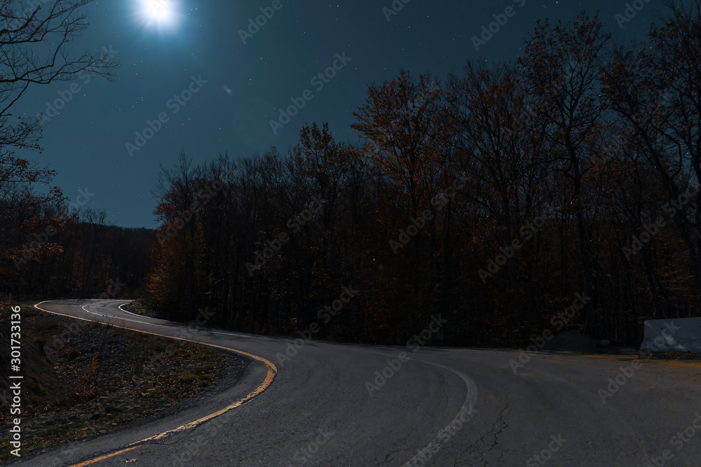 Night Autumn forest under the moonlit and starry sky