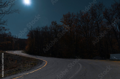Night Autumn forest under the moonlit and starry sky