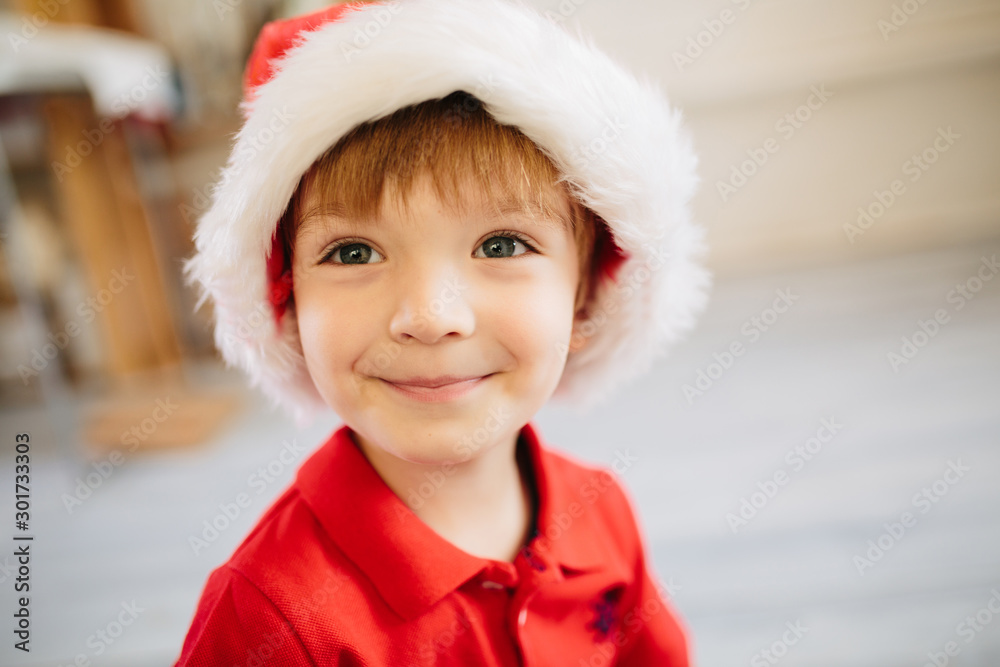 Portrait of a little cute boy with blue eyes in a Santa Claus hat in a decorated Christmas room with a xmas tree. Portrait of a little cute boy with blue eyes in a Santa Claus hat in a decorated Christmas room with a xmas tree.