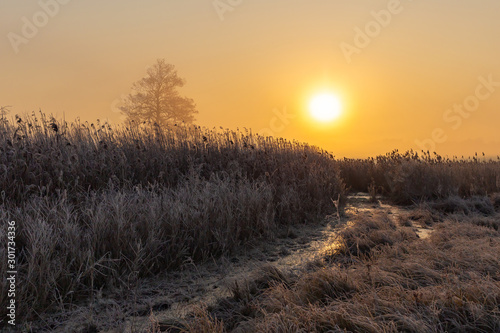 Beautiful sunrise in the countryside