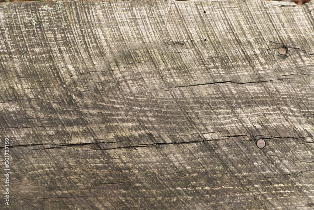 Fototapeta premium marks on derve from the tool