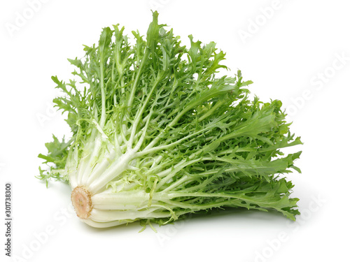 Принти на полотні Escarole Endive on a white background