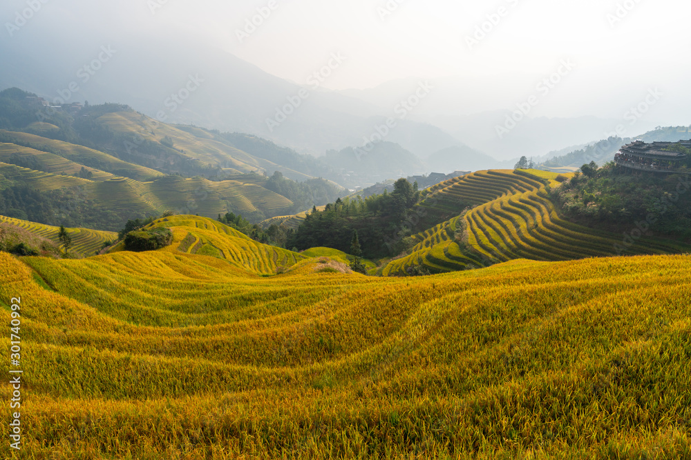 Longji Rice Terraces in China Sunrise view