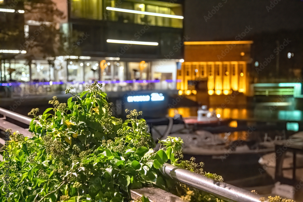 yachts and boats in harbour of Wroclaw Odra river