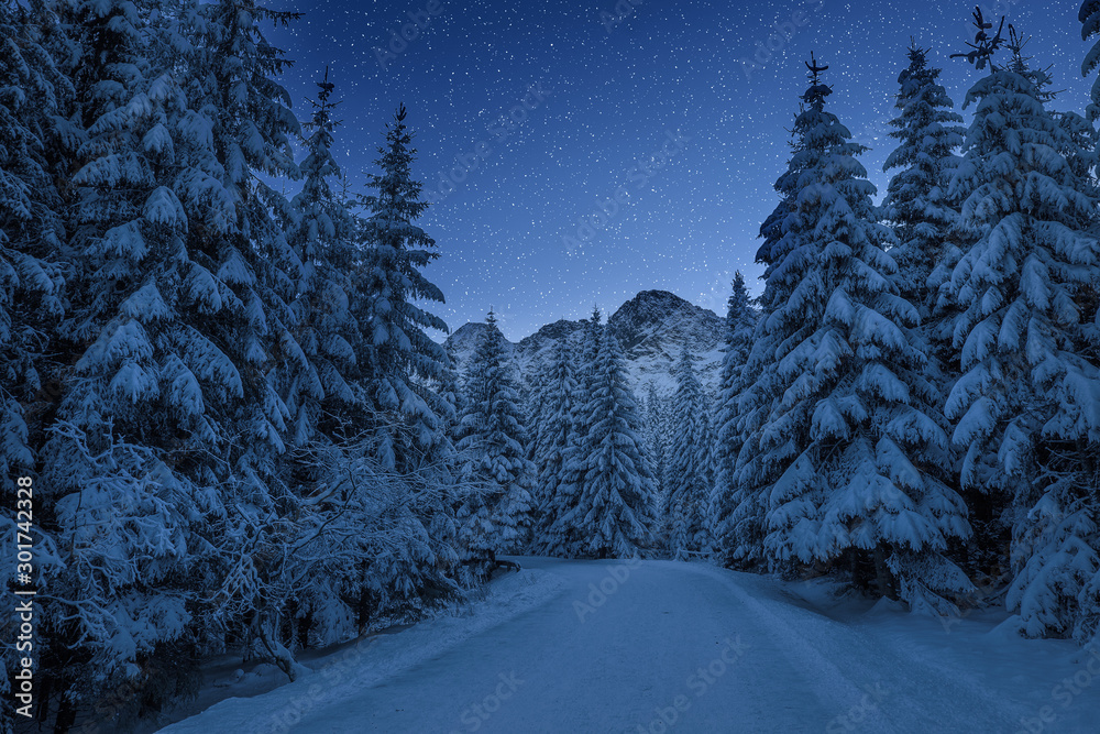 Clear christmas night in Italian Alps