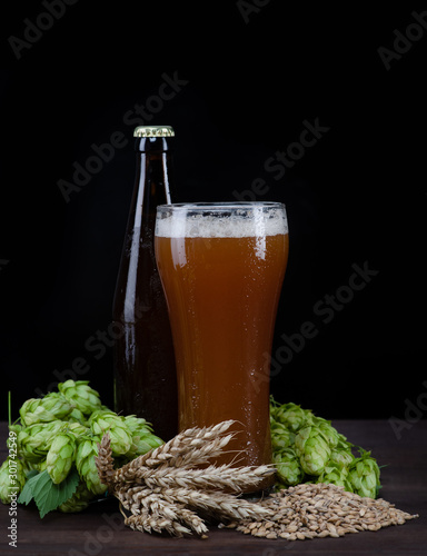 Brewing concept. Craft beer with fresh green of hops and with wheat on dark wooden table. Isolated on black background