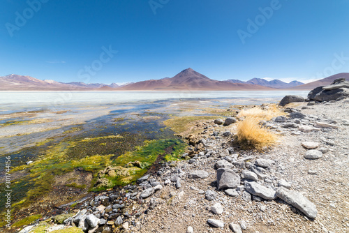 Laguna Blanca, White Lagoon, Eduardo Avaroa National reserve, Bolvia