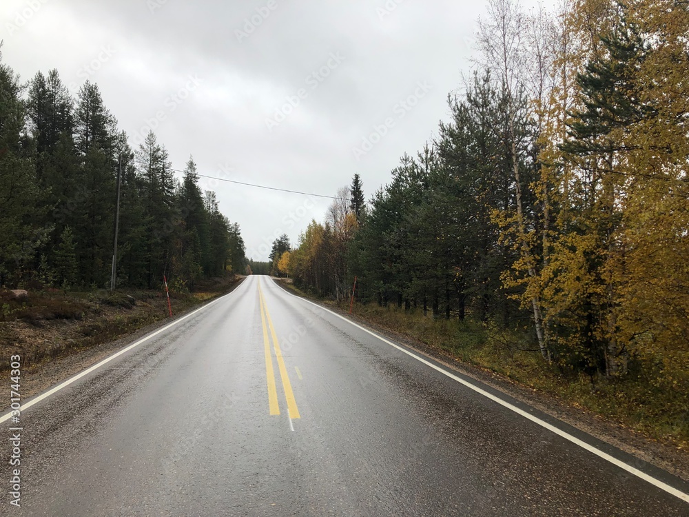 Fototapeta premium laponie