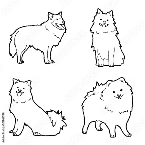 German Spitz Animal Vector Illustration Hand Drawn Cartoon Art