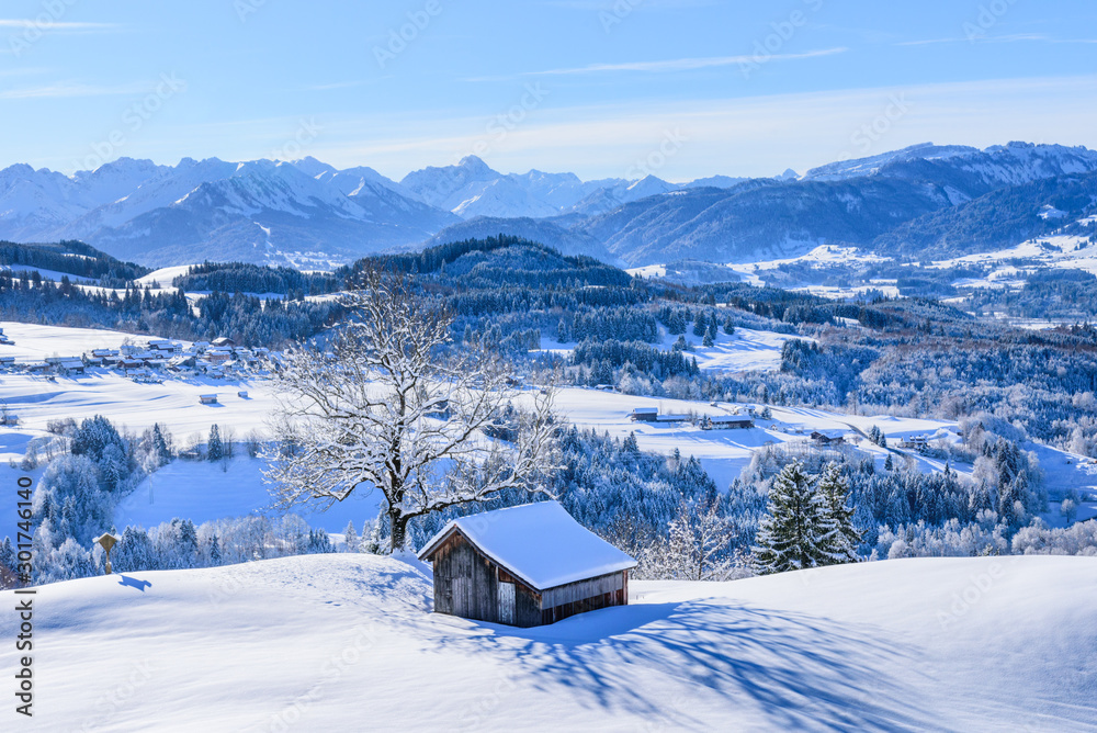 Winterpanorama im Oberallgäu - obrazy, fototapety, plakaty 