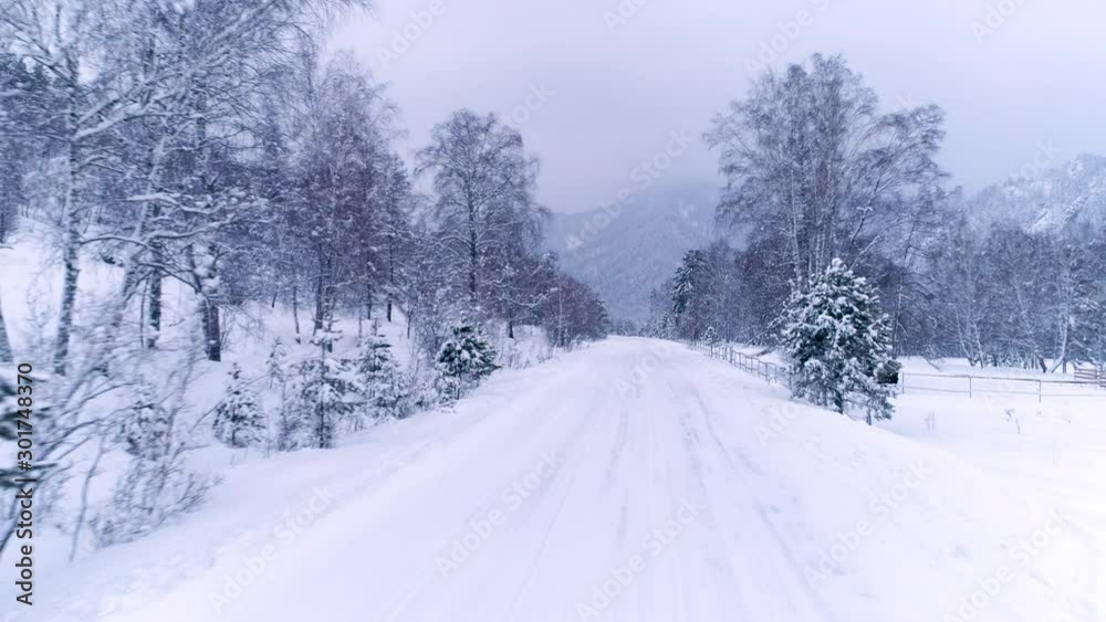 aerial view road through the forest covered with snow aerial view road through the forest covered with snow