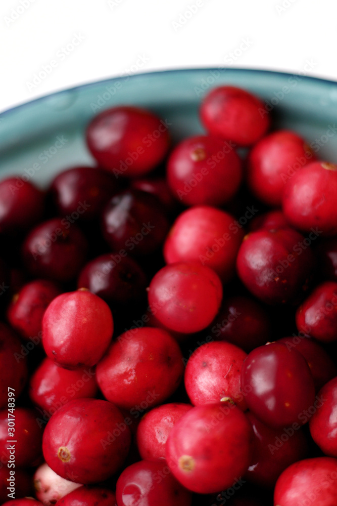 lot of fresh cranberries in a bowl close up lot of fresh cranberries in a bowl close up