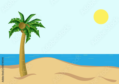 Palm tree on the beach