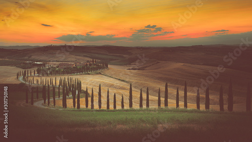 Wonderful sunset over Tuscany hills with alley of cypress trees. Travel destination Tuscany, Italy