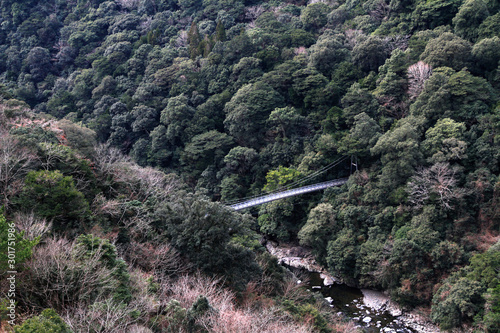 Suspension bridge surrounded by canyons at Aya,Miyazaki