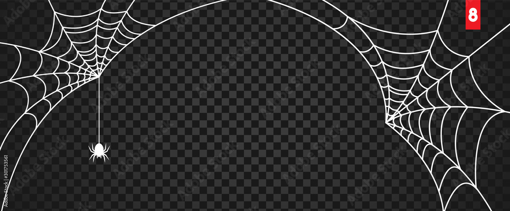 Halloween cobweb and spiders isolated on dark transparency background
