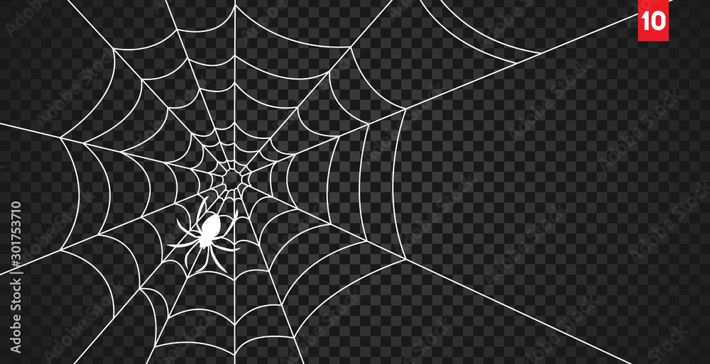 Halloween cobweb and spiders isolated on dark transparency background