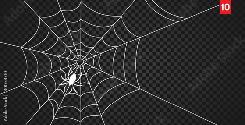 Obraz na płótnie Halloween cobweb and spiders isolated on dark transparency background w salonie