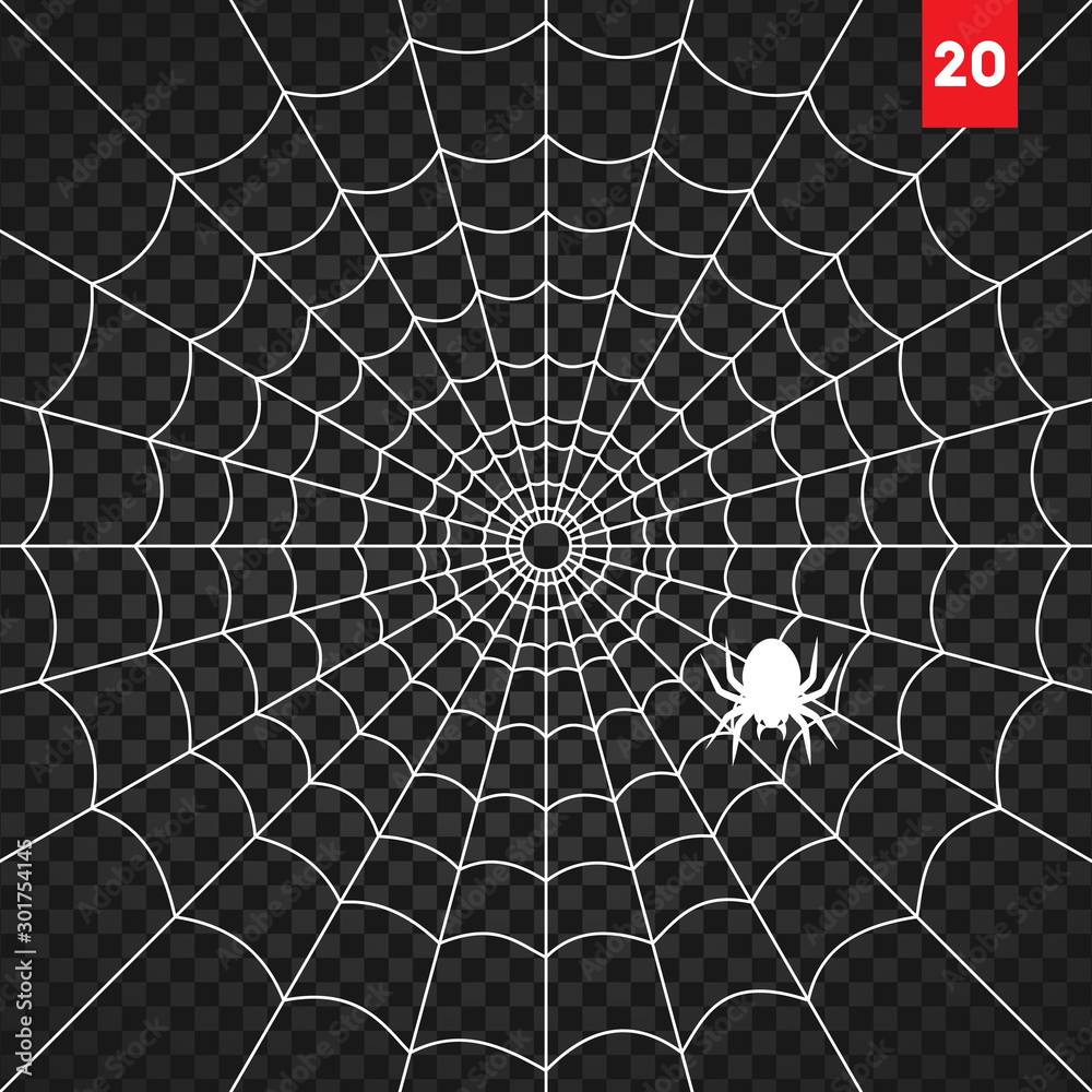 Halloween cobweb and spiders isolated on dark transparency background