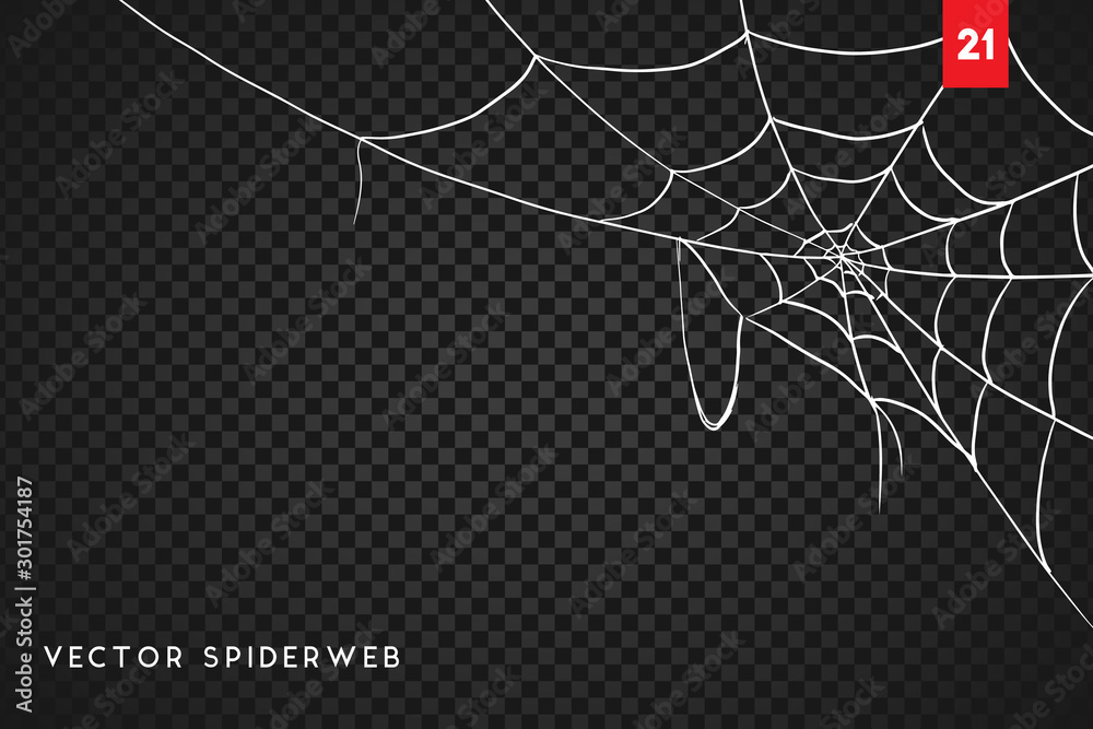 Halloween cobweb and spiders isolated on dark transparency background