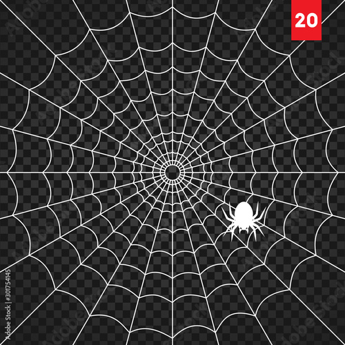 Obraz na płótnie Halloween cobweb and spiders isolated on dark transparency background w salonie