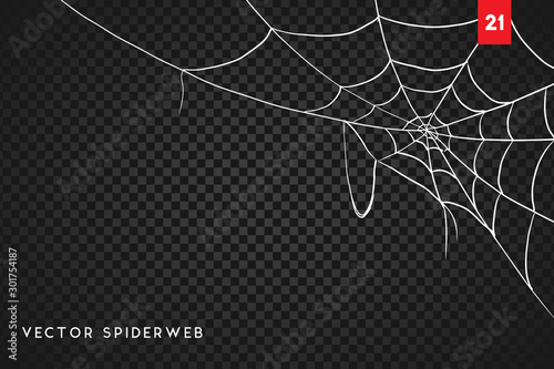 Obraz na płótnie Halloween cobweb and spiders isolated on dark transparency background w salonie