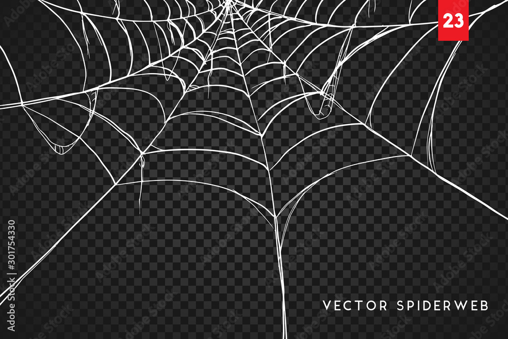 Halloween cobweb and spiders isolated on dark transparency background