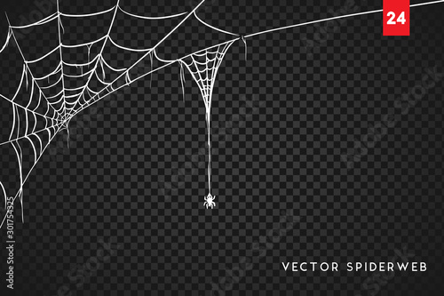 Obraz na płótnie Halloween cobweb and spiders isolated on dark transparency background w salonie