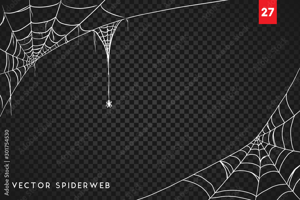 Halloween cobweb and spiders isolated on dark transparency background