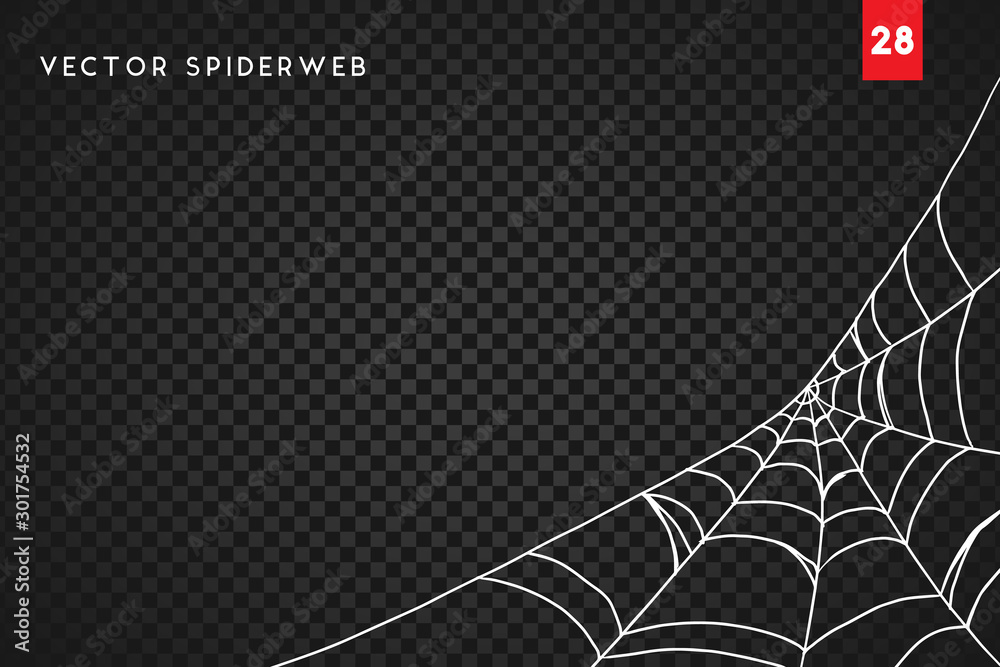 Halloween cobweb and spiders isolated on dark transparency background