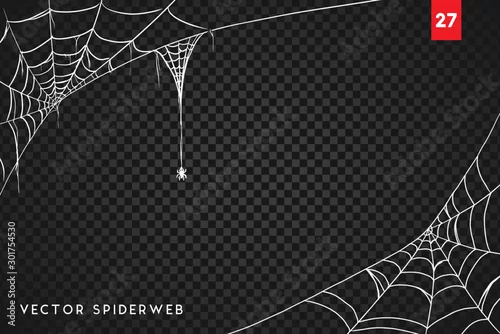 Obraz Halloween cobweb and spiders isolated on dark transparency background