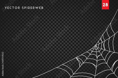 Obraz na płótnie Halloween cobweb and spiders isolated on dark transparency background w salonie