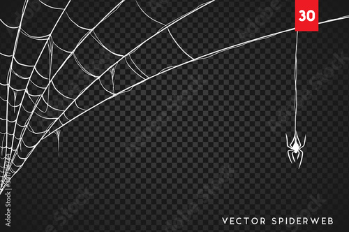 Obraz na płótnie Halloween cobweb and spiders isolated on dark transparency background w salonie