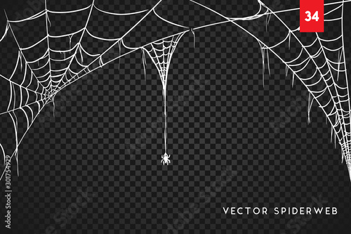 Obraz na płótnie Halloween cobweb and spiders isolated on dark transparency background w salonie