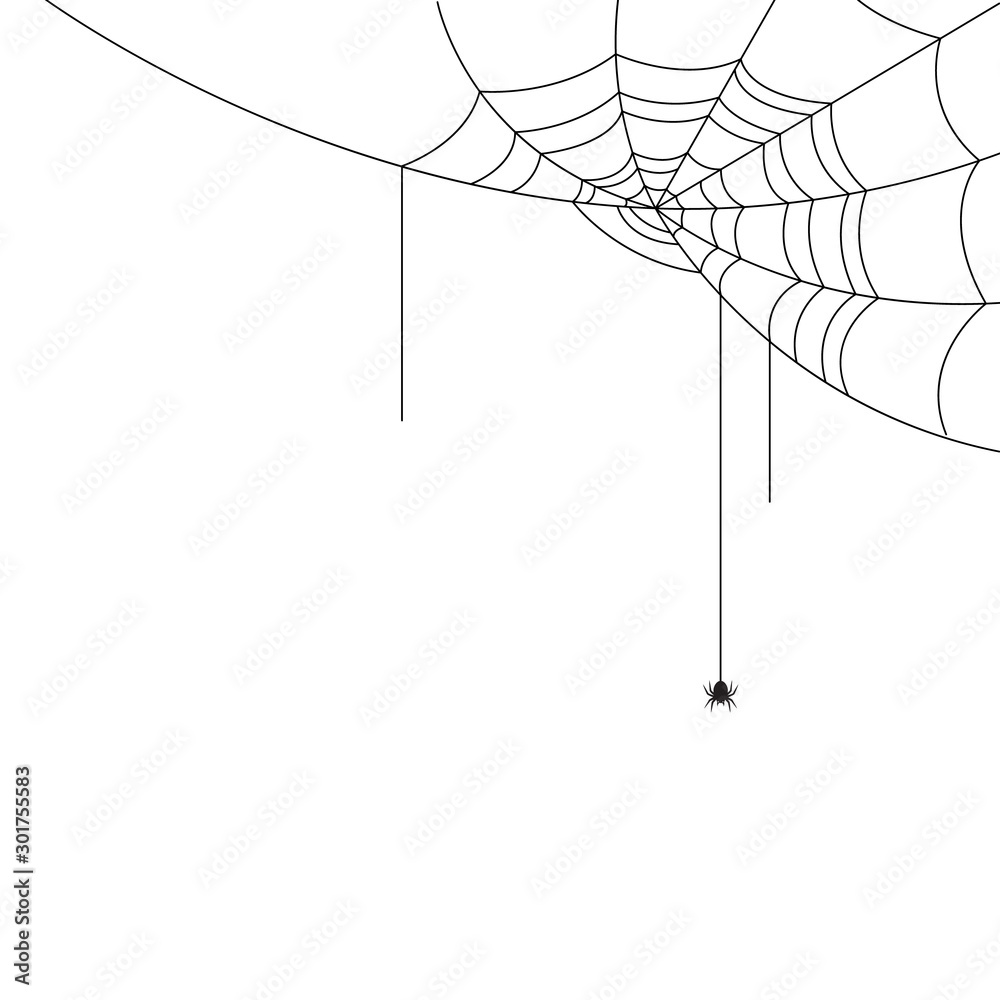 Halloween spider web and spiders isolated on white background